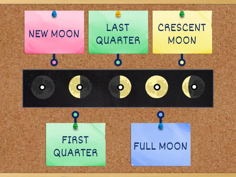 SCIENCE 1- PRIMARY PHASES OF THE MOON - Labelled diagram