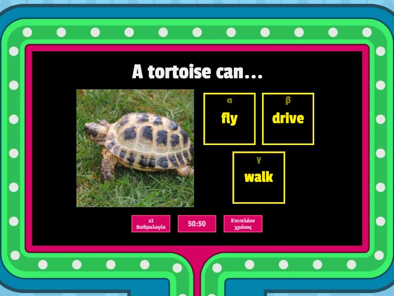 Tortoise VS Hedgehog (ABL) - Gameshow Quiz