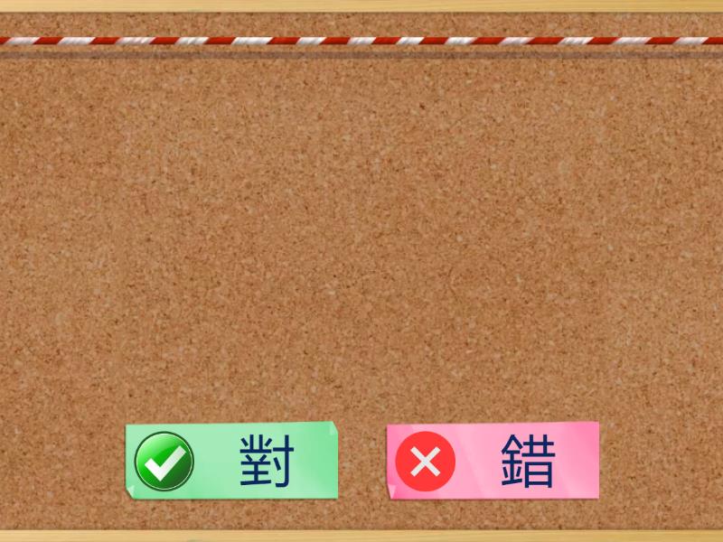 P1 CHP13 「把」字句 (對/ 錯） - True or false