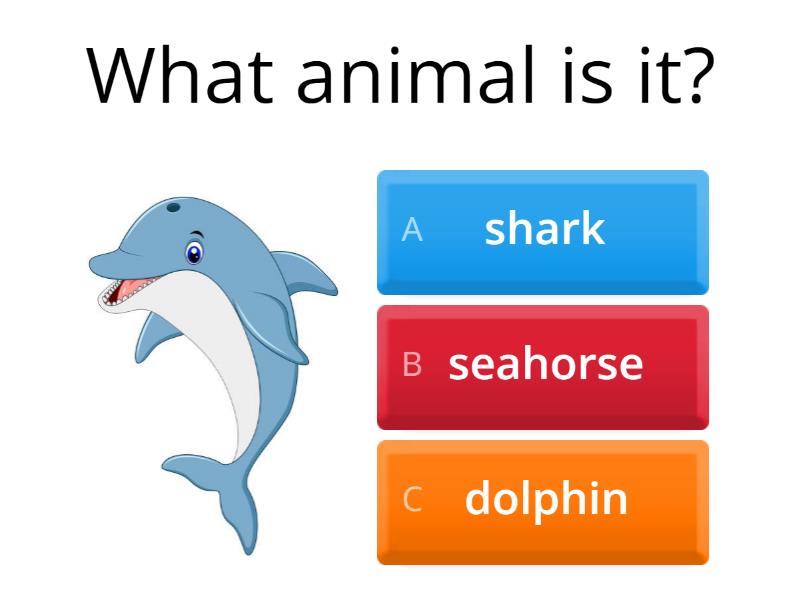 We Can 3 Sea Animals - Revision - Quiz