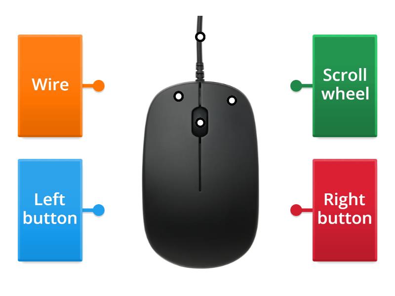 Parts of the computer mouse - Labelled diagram