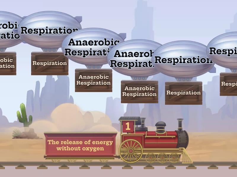 Respiration (physiology) visual data 6