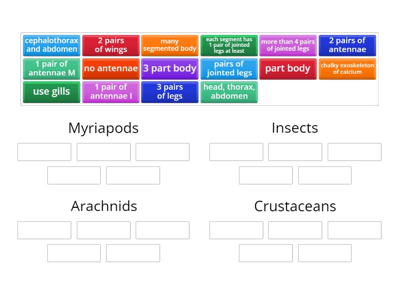 Cie Igcse Invertibrates Features Group Sort