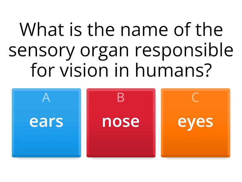 the-humano-eye-quiz