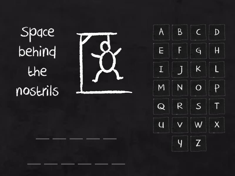 The Respiratory System Hangman