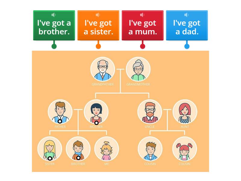 Family - Labelled diagram