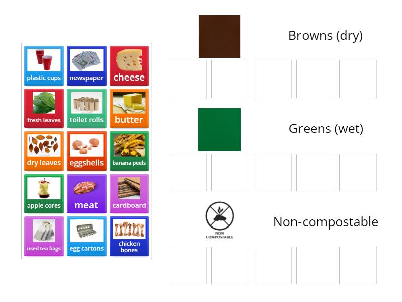 what-can-you-compost-group-sort