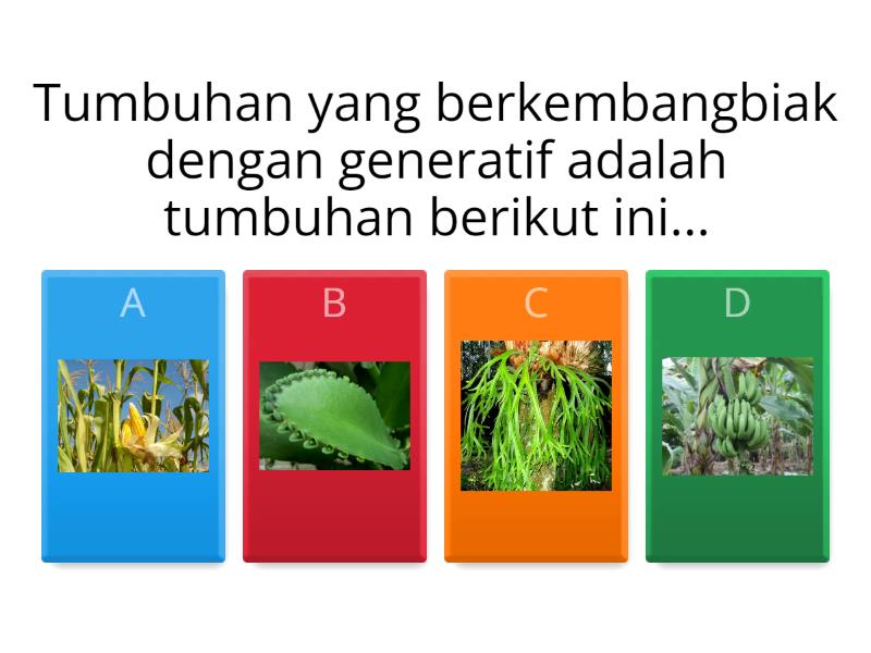 Perkembangbiakan Tumbuhan - Quiz