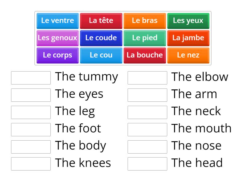 Year 8E Body Parts - Match up