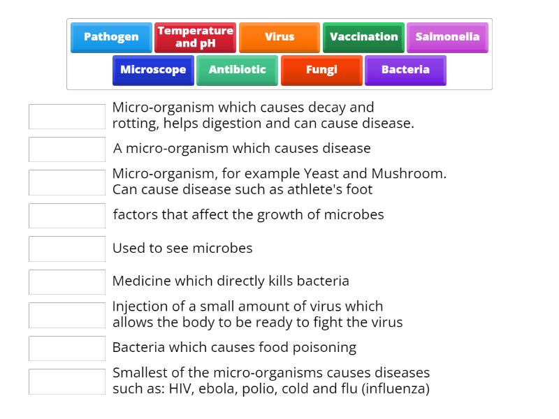 Microbes - Match up