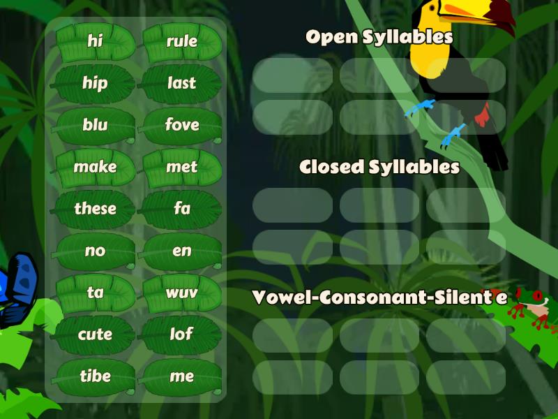 Syllable Types Part 1 - Ordenar por grupo