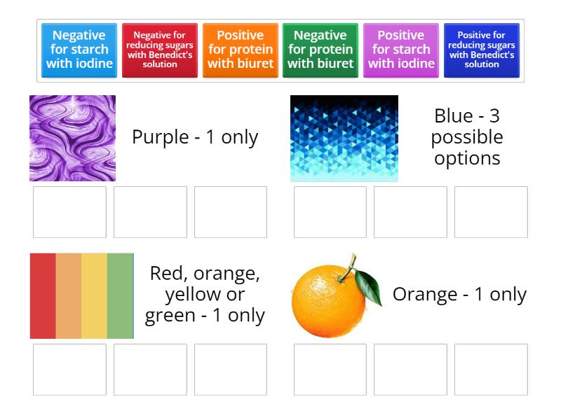 Easier Biological molecules food tests Group sort