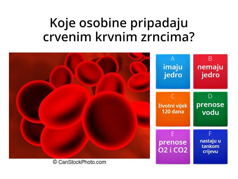 CIRKULATORNI SISTEM - Quiz