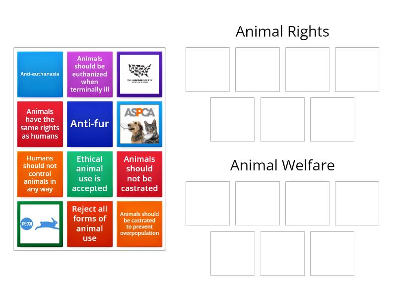 animal-rights-vs-animal-welfare-ordenar-por-grupo