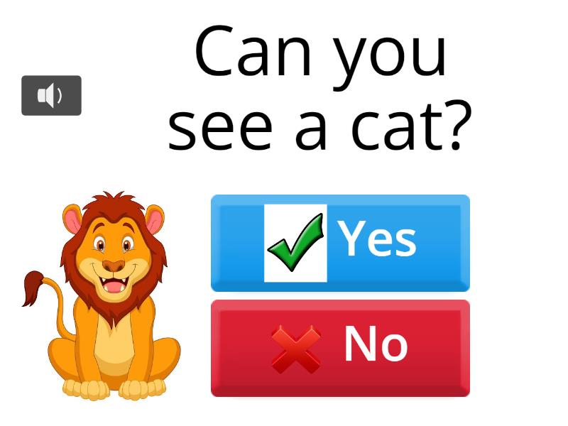 Can you see quiz