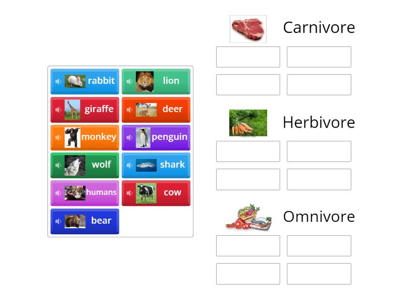 Carnivore, Herbivore or Omnivore? - Group sort