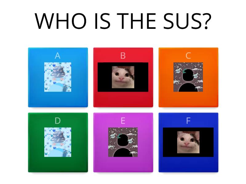 CHOOSE THE SUS - Quiz