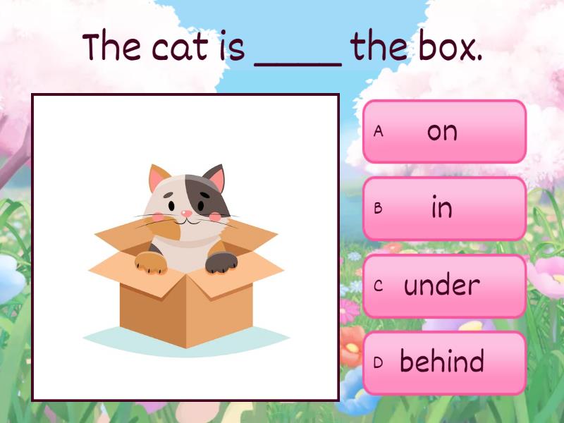 Prepositions of place | The cat & the box - Quiz