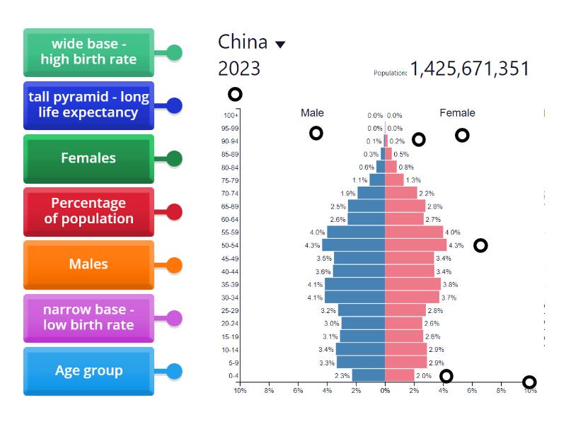 Population Pyramid China Labelled diagram