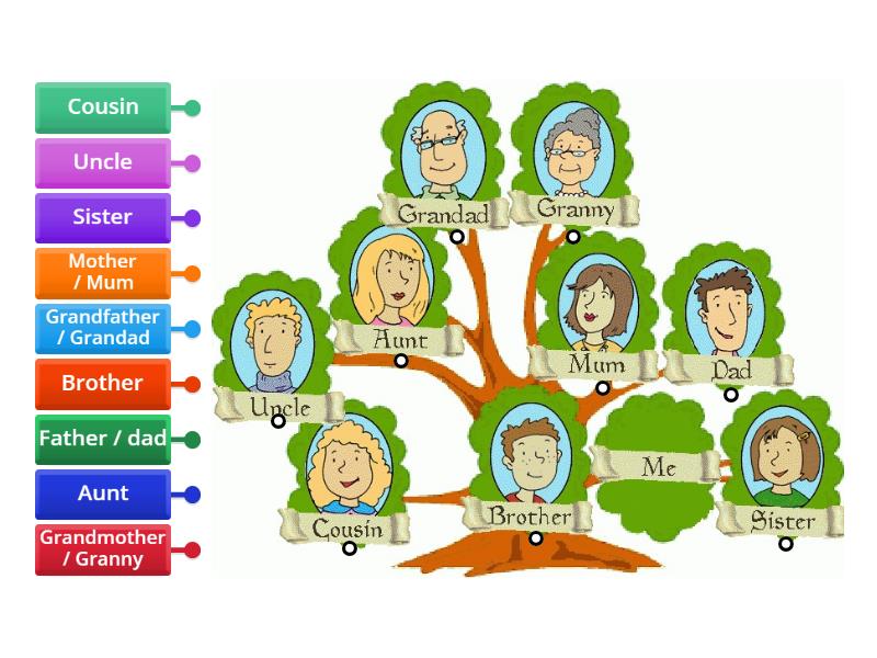 Family match - Labelled diagram