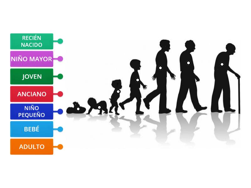 VAMOS CRECIENDO - Labelled diagram