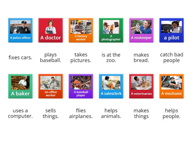 Job duties (occupations and roles) - Match up