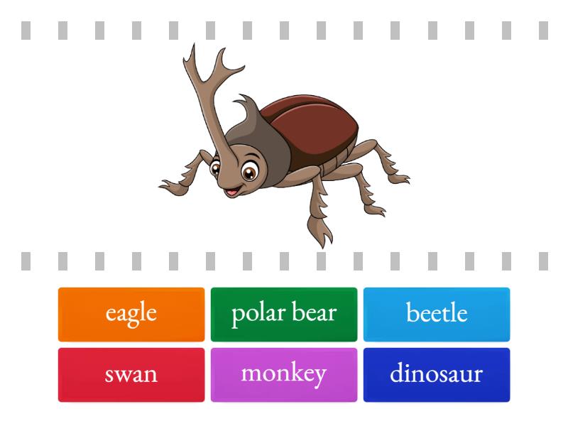 Flyers Elite Lesson 6 Vocabulary - Find the match