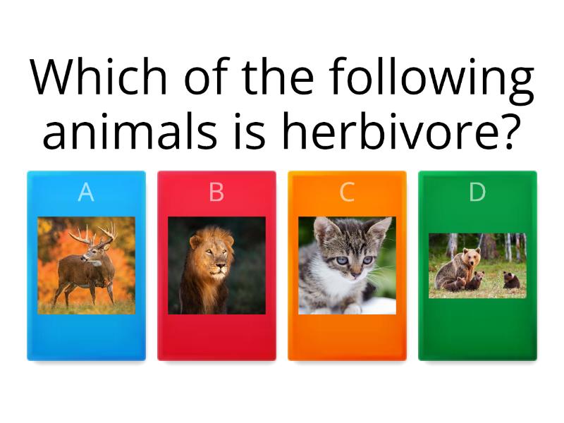 7th Grade Unit 4.01 - Animals - Quiz