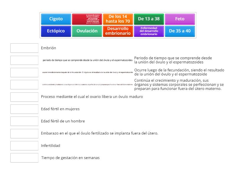 Desarrollo Embrionario Uts Po Cz W Pary