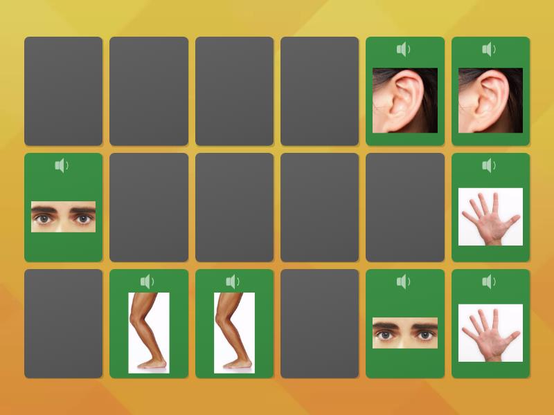 Body parts memory game matching pairs