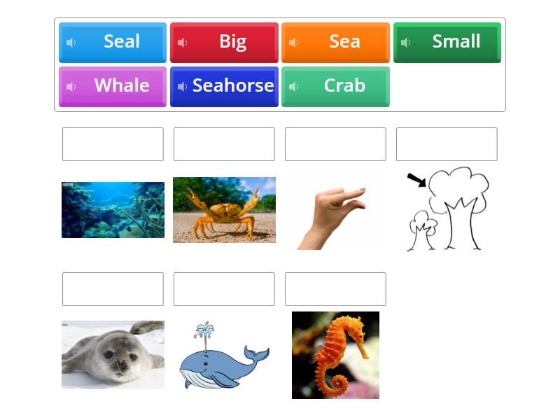 Big or Small - Match up
