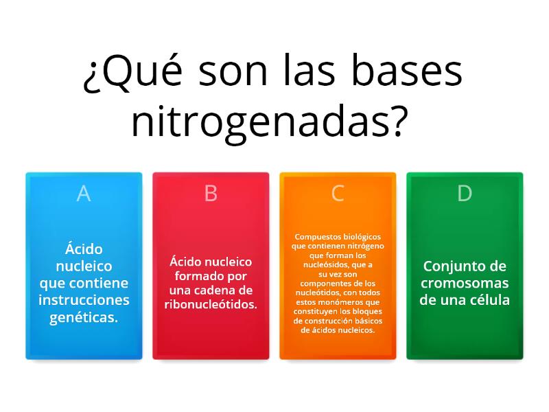 Bases Nitrogenadas - Cuestionario