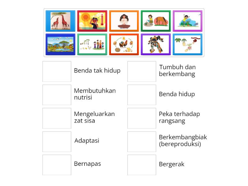 Karakteristik Makhluk Hidup - Match up