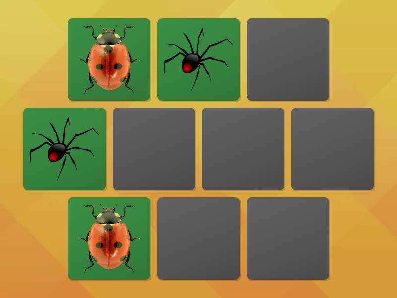 Insects 2 - Matching pairs