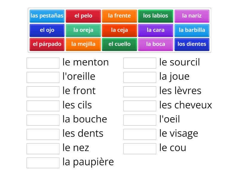 Les parties du visage en espagnol - Match up