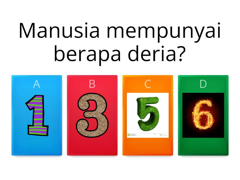 DERIA MANUSIA SAINS TAHUN 1 - Quiz