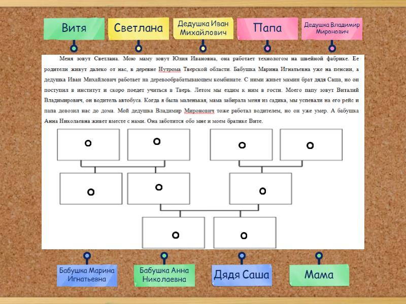 Впр 4 класс математика семейное дерево