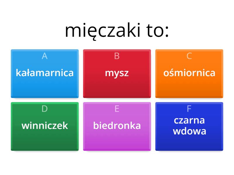 Stawonogi I Mięczaki - Test