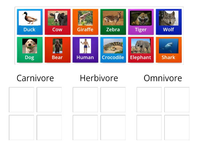 Kids 1 PLUS - Carnivore, Herbivore and Omnivore - Group sort