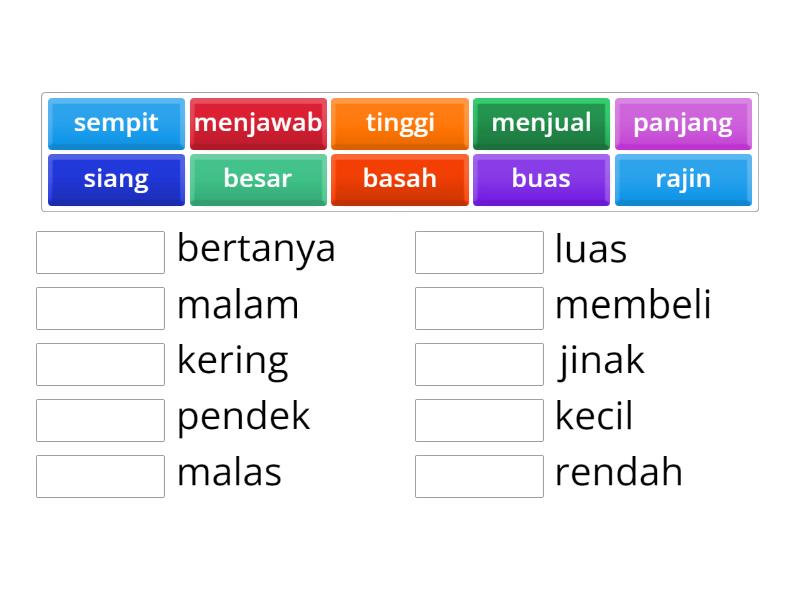 Latihan Lawan Kata - Match up