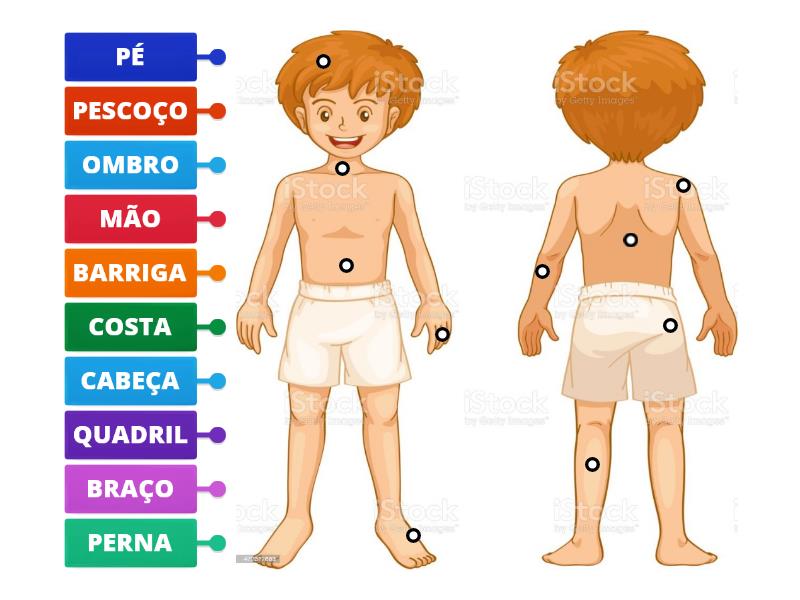 NOMEIE AS PARTES DO CORPO HUMANO - Imagem Com Legenda