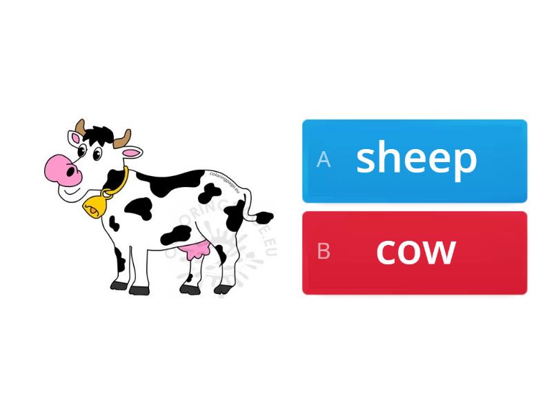 Unit 6 - Farm Animals - Quiz