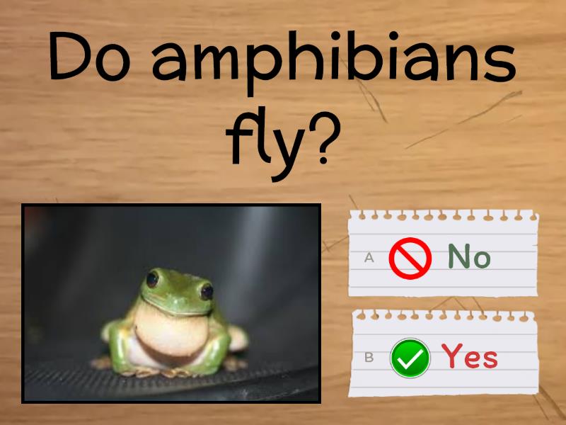 Amphibians - Quiz