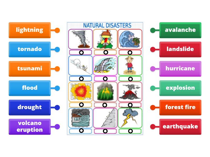 Natural Disasters matching - Labelled diagram