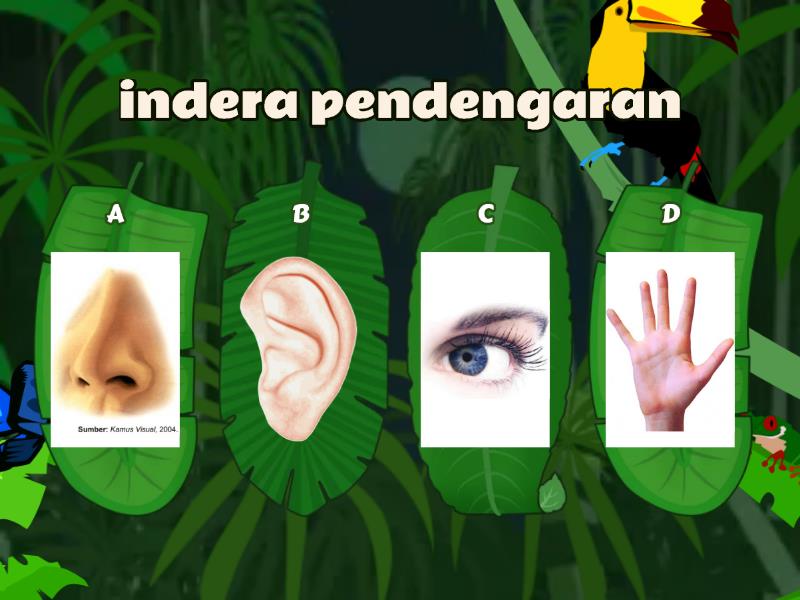 A Lembar Kerja Siswa Bunyi Dan Sifat Sifatnya Quiz