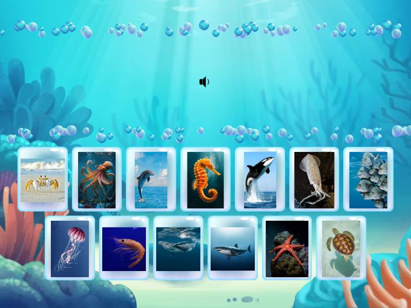sea animals - Cada oveja con su pareja