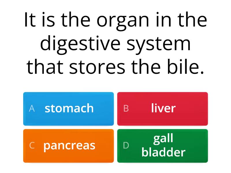 Digestive System - Quiz