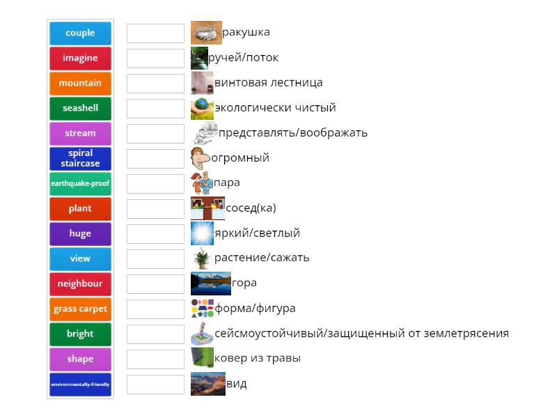 (Module 2) Life in a shell vocabulary - Сопоставить