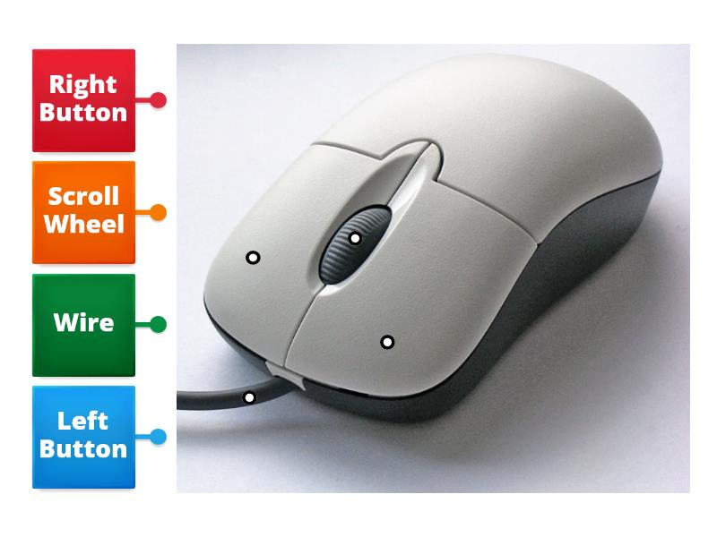 Parts of a Computer Mouse - Labelled diagram