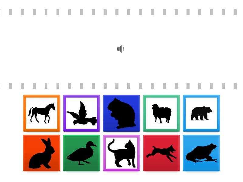 Guess animals - Find the match